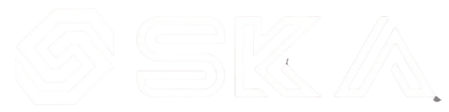 SK Academy